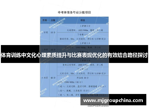 体育训练中文化心理素质提升与比赛表现优化的有效结合路径探讨